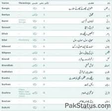 Islamic Names Golden Thinks Unique islamic names for newborn muslim baby boy with meaning. islamic names golden thinks