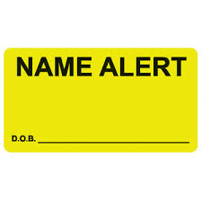 Medical Chart Nursing Labels Patient Alerts Name Alert