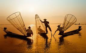 They are the lungs of our planet and a major source of food the second fully virtual celebration of united nations world oceans day, on 8 june 2021, will highlight the theme of the ocean: Blancpain Partners Un For World Oceans Day 2021 Day Night Magazine