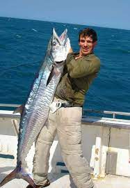 Kingfish Gone Fishing Vintage Fishing Lures Fish