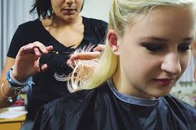 College's enrollment bounces back