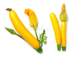 Can u eat zucchini leaves. 35 740 Yellow Zucchini Photos Free Royalty Free Stock Photos From Dreamstime