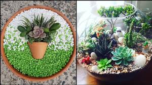 Turn a bell cup into a planter. 50 Diy Succulent Planter Ideas Small Garden Ideas Diy Garden Ideas Amazing Succulent Pots Youtube