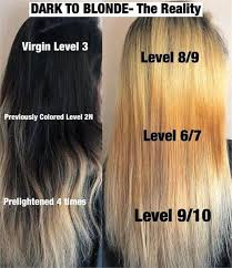 The Reality Of Transitioning From Dark To Blonde Blonde Hair Color Going Blonde Hair Color Techniques