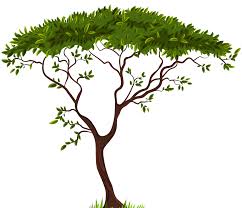 Free forest tree transparent png background Tree Png