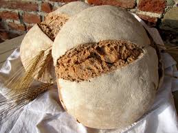 Sostituisce la biga, ma non il lievito, che va aggiunto nella quantità solita. Pane Di Montagna Pane Con Lievito Madre Tvtb Terra Viva Del Tibi