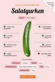 Das Solltest Du Uber Gurken Wissen In 2020 Salatgurke Gurke Nahrstoffreiche Rezepte