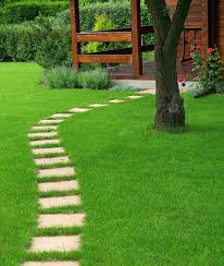 Facebook is showing information to help you better understand the purpose of a page. Crabgrass Control Guelph Lawn Pests Kendall Lawn Care