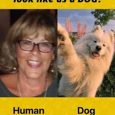 Is parking free at KP train station in the mornings?