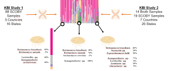 KBI/OSU Genomic Study Webinar - Kombucha Brewers International
