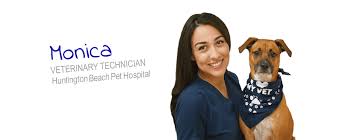 At aloha pet & bird hospital in sunny indian harbour beach, florida, we have been serving pets and their people with compassion and the highest quality of veterinary care for more than 30 years. Huntington Beach Ca 92646 Veterinarian Huntington Beach Pet Hospital