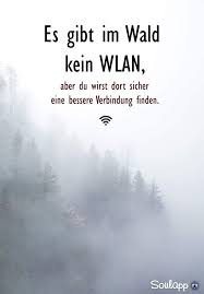 Ich Liebe Den Wald Ruhe Gelassenheit Und Frische Luft Spruche Zitate Zitate Natur Spruche