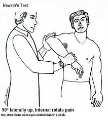 Image result for Hawkins Test