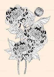 Chrysanthemum Vector On Brown Background Chrysanthemum Flower By Hand Chrysanthemum Tattoo Chrysanthemum Flower Tattoo Crysanthemum Tattoo