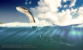 Image result for Glenniea