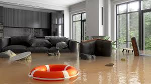 How Drying in a Flood House Compares to Drying Structures in the Field |  Restoration & Remediation Magazine