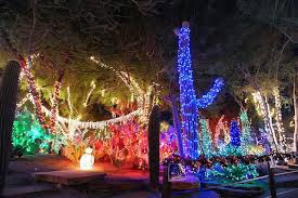 The garden boasts more than 350 types of cacti and succulents. Christmas Lights At Ethel M Botanical Cactus Garden Holiday Lights Christmas Lights Lights