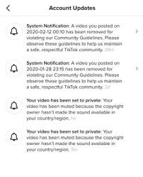 What Is The Tiktok Shadowban And How To Fix It Followchain