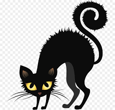 Silhouette chat noir silhouette animaux art de chat noir pochoir silhouette dessin chat gabarit chats noirs cuisiner formes gostencils are 10 dessin de chat noir silhouette chat noir silhouette danseuse silouhette chat graphiques gratuits bijou chat tatouage chat illustration numerique peinture. Chat Chat Noir Blog Png Chat Chat Noir Blog Transparentes Png Gratuit
