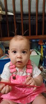 Has anyone purchased the retractable baby gate? Reviews please!