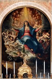 Image result for Manniella gustavi