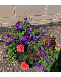 Send flowers to bismarck, nd using our network of local florists & flower shops. Shop By Flowers Delivery Bismarck Nd Ken S Flower Shop