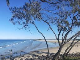 9 Of The Best Things To Do In Bundaberg The Vanabond Tales Bundaberg Things To Do Stuff To Do