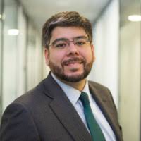 60+ "Verissimo" profiles