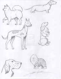 Kids and beginners alike can now draw a great looking dog. Pin On Escape