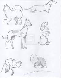 Maybe you would like to learn more about one of these? Realistic Drawing Of Dogs Dog Drawing Simple Realistic Drawings Animal Drawings