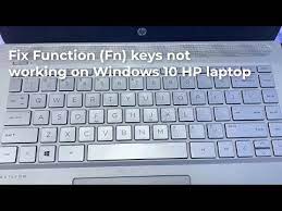 The fn key serves more than one function and its action will be dictated by the other key(s) pressed in combination with the fn key. Hp Fn Not Working Jobs Ecityworks