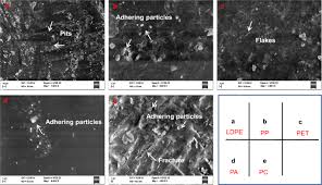 Extension of shelf life and safety are the major concerns addressed by r&d at cftri. Characterization Of Petroleum Based Plastics And Their Absorbed Trace Metals From The Sediments Of The Marina Beach In Chennai India Environmental Sciences Europe Full Text