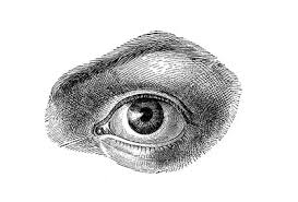 Lidtumor Ursachen Symptome Behandlung Medlexi De