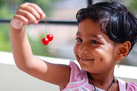 Quả Sung Hoang Dã Chung Ficus