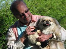 We are the ohio chapter of bailing out benji. Pekingese Rescued From Puppy Mill Best Friends Animal Society