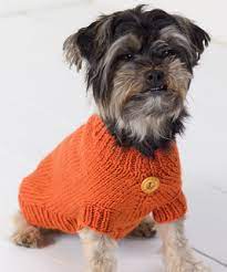 This cute pullover dog sweater is ideal for wearing on those cold winter walks. Ravelry Dog Sweater Pattern By Red Heart Design Team
