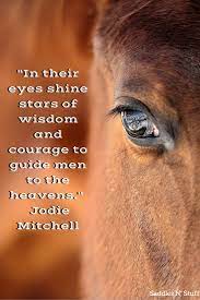 Pin On Inspirational Horse Quotes