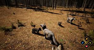There are opinions about wilderness yet. Download Wilderness Crack Pc Game Gd Socigames
