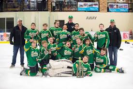 Edina Peewee C Gold Wins the DAHA Mid-Winter Classic
