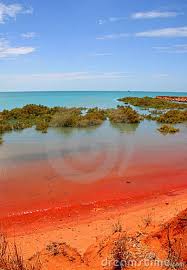 Roebuck Bay Broome Yes Believe It Or Not The Colours Are Exactly Like The Picture Amazing Place Oceania Travel Australia Australia Travel