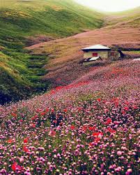Road To Heaven Kermon Village Asalem Khalkhal Road Iran Pictures Iran Travel Iran