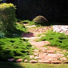 Garden Design Ideas Get Inspired By Photos Of Gardens From Australian Designers Trade Professionals Australi Garden Design Garden Paths Australian Design