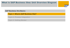 Sap Business One Basics Ppt Video Online Download