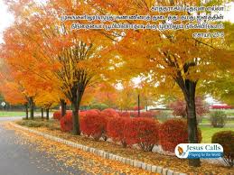 The spiritual benefits of fasting are all throughout the bible. Free Download Verse Greetings Card Wallpapers Nature Cute Bible Verse 720x540 For Your Desktop Mobile Tablet Explore 48 Autumn Scriptures Verses Wallpaper Bible Verse Wallpaper Scripture Wallpaper Images Bible
