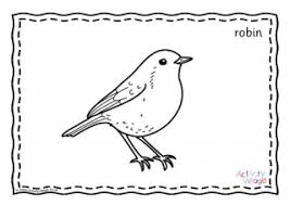 Bird outline template kinis rsd7 org. Robin Colouring Pages