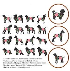 Free shipping on orders over $25 shipped by amazon. Dogs Cross Stitch Pattern Modern Cross Stitch Animal Cross Stitch Easy Golden Pomeranian Schnauzer Boston Terrier Havanese Yorkshire Terrier Visual Arts Craft Supplies Tools Seasonalliving Com