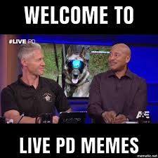 Live Pd Memes Home Facebook