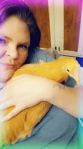 Andee Rose's Instagram, Twitter & Facebook