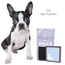 The moist, chewed skin is ripe for skin infections with yeast, ringworm, or bacteria. Sild Pet Hair Catcher Ichimodajin Cleaner Dog Cat Pet S Hair Loss Cleaning Supplies Pet Hair Remover Blue Buy Online In Bahamas At Bahamas Desertcart Com Productid 63654779