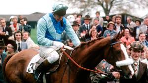 Image result for Desert Orchid Wiki